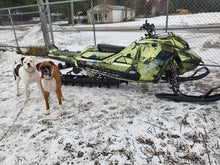 Load image into Gallery viewer, Topo