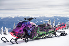 Load image into Gallery viewer, Cheetah Warrior